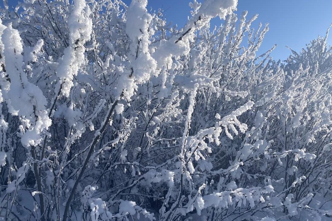 A snow drift and blue sky in Calgary.