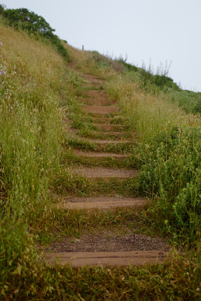 Stairs up to Twin Peaks