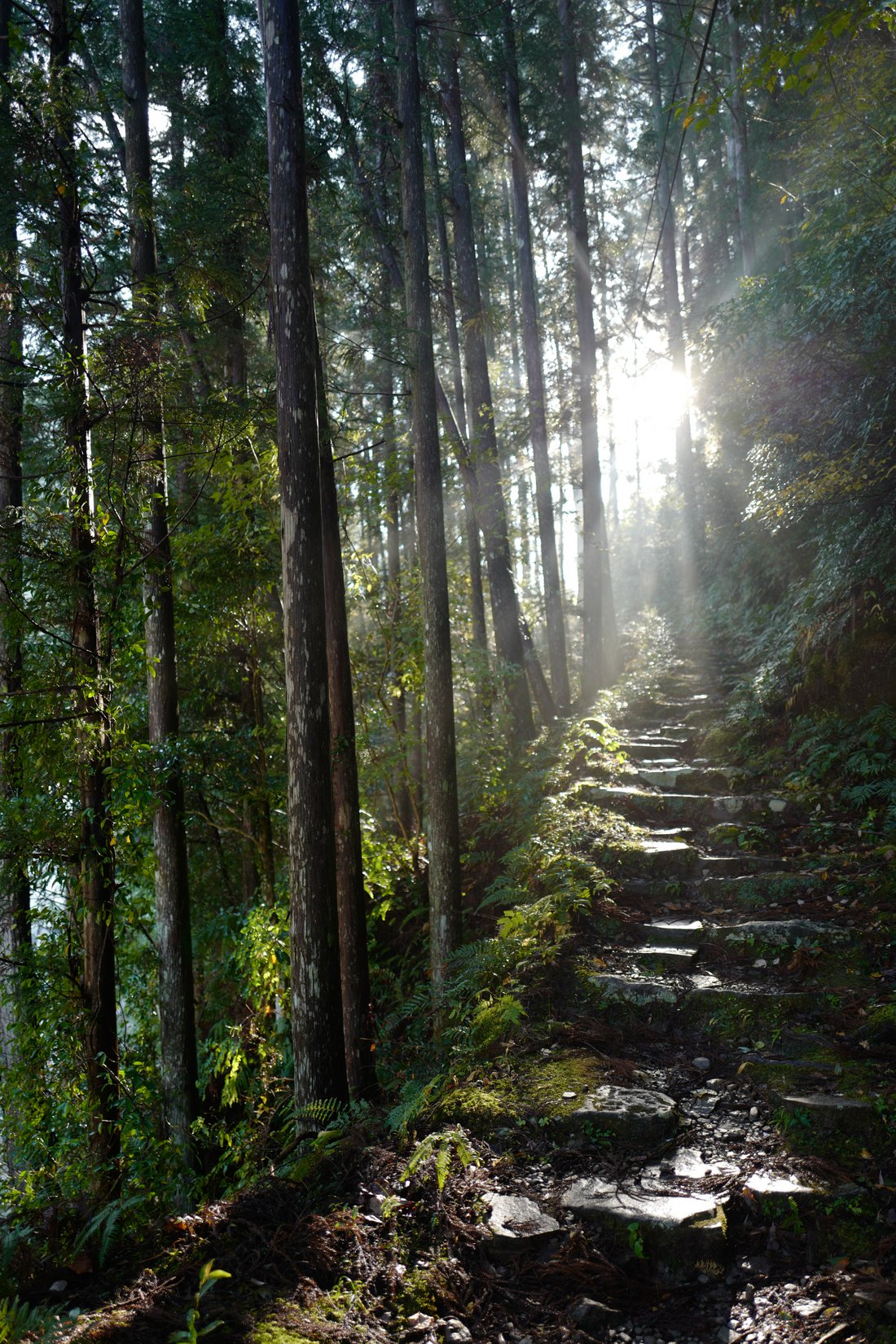 The Kumano Kodo